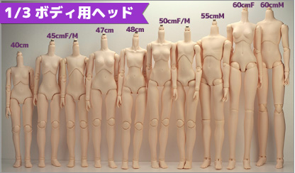 1/3サイズヘッド