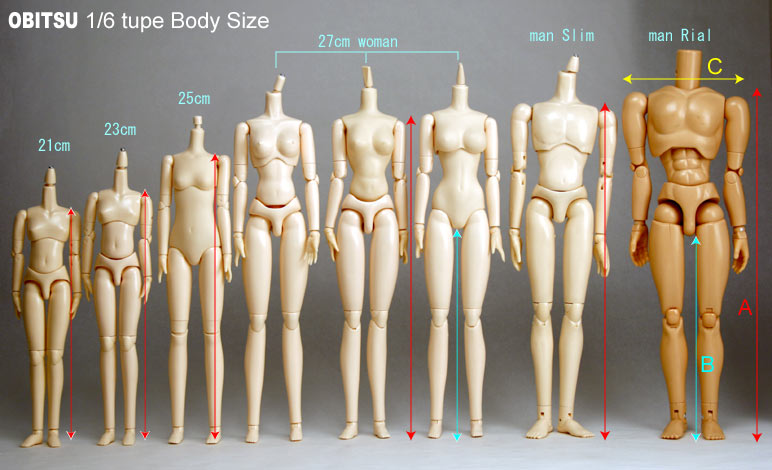 barbie measurements in cm